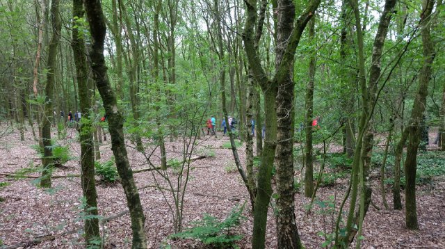 Dauwtrappen (donderdag 30 mei 2019)